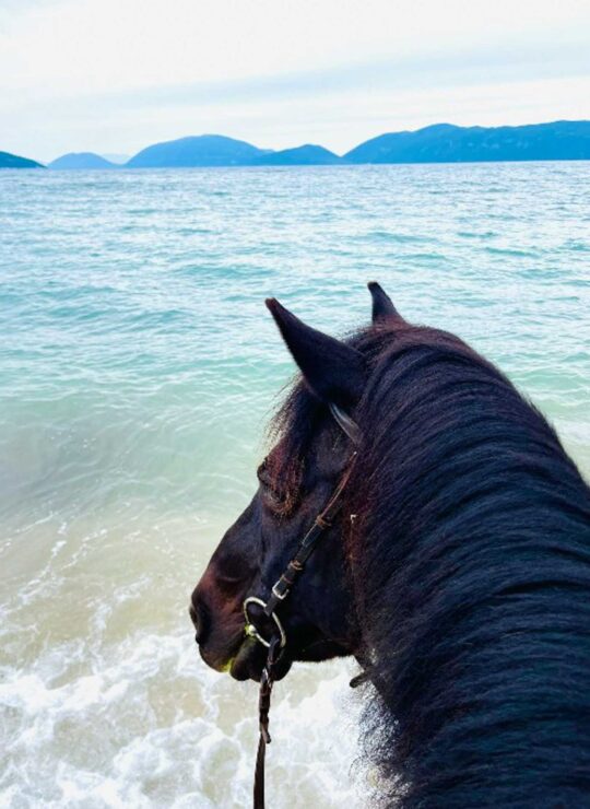beach ride