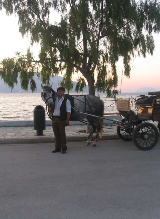carriage ride experience