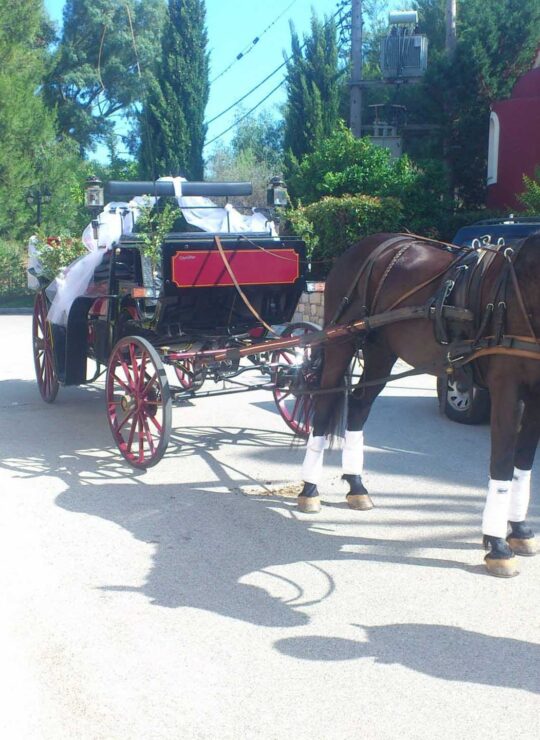 carriage ride experience