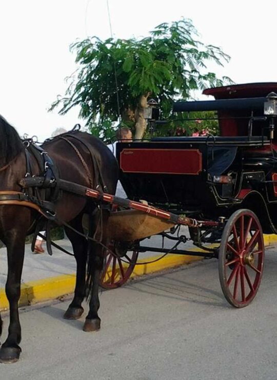 carriage ride experience