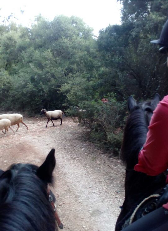 Multiday riding experience