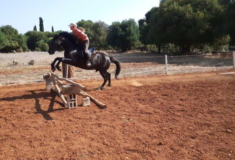 Horse riding lessons