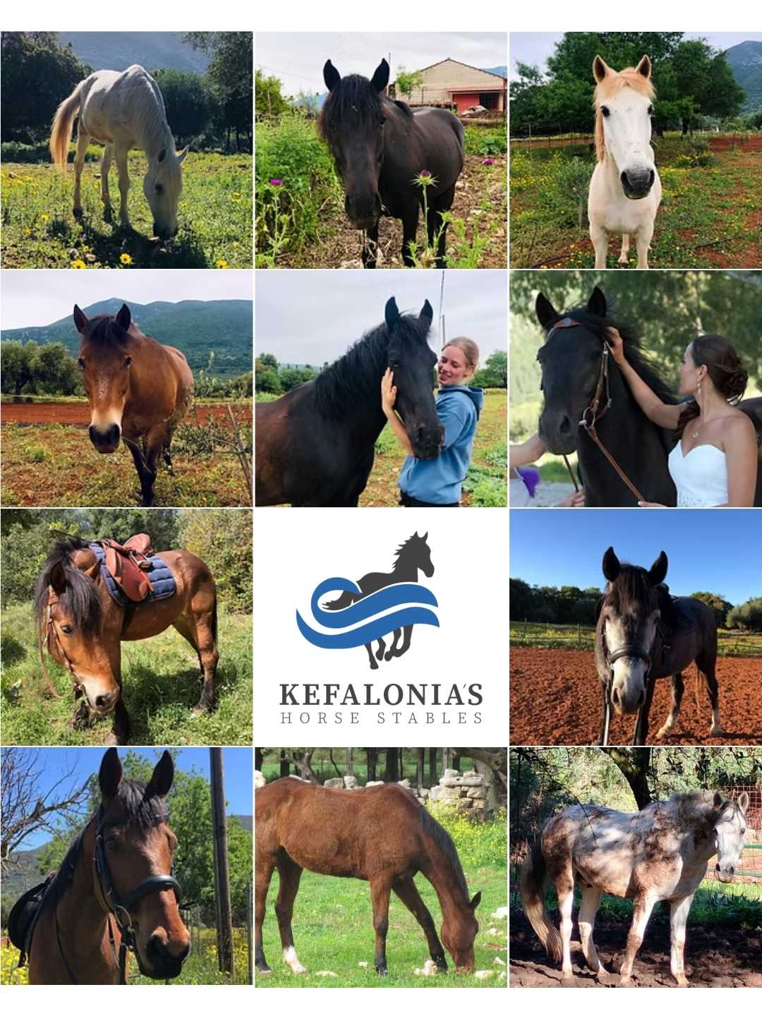 Kefalonias Horse Riding Stable ~ Our horses
